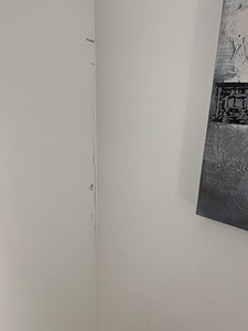 Ehitaja/remondimees (3 foto / 4)
