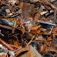 Ruumide koristamine ja metalli äravedu. kaubavedu 24/7 (foto #1)