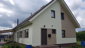 Värvimine, fassaadid ja piirded (4 foto / 6)
