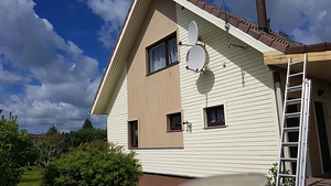 Värvimine, fassaadid ja piirded (6 foto / 6)