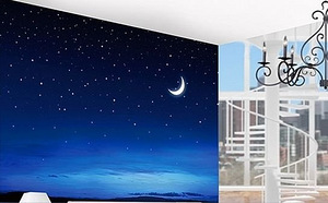 Uued fototapeedid Silent Night 280x200 cm