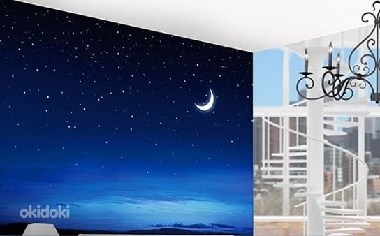 НОВЫЕ Фотообои Silent Night 280x200 см