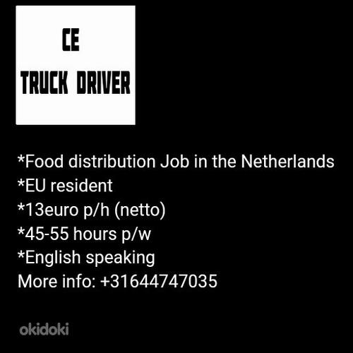 CE Truck driver (foto #1)
