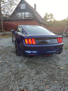 Ford Mustang Ecoboost (6 foto / 10)