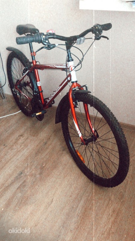 Täiuslikus korras jalgratas (foto #1)