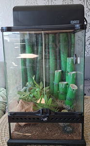 Exo Terra terrarium (1 foto / 1)