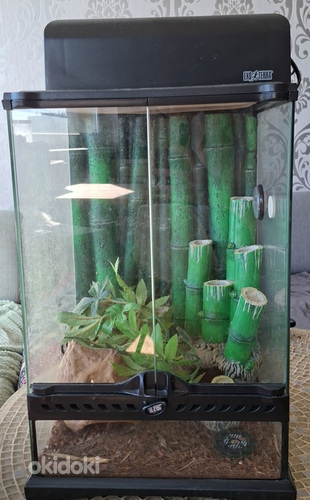 Exo Terra terrarium