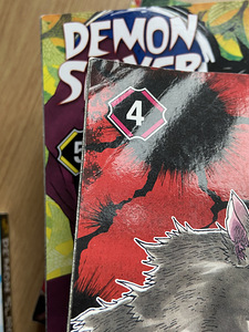 Deemon Slayer manga (6 foto / 6)