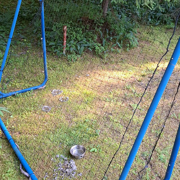 Jalgpallivärav
