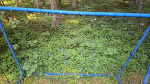 Jalgpallivärav (3 foto / 6)