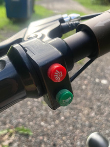Elektriline tõukeratas Ecoscooter (7 foto / 8)