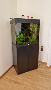 Juwel Rio 120 (2 фото из 3)