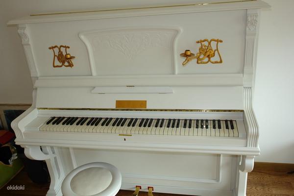 Offenbacher Hofieferant klaver (foto #2)