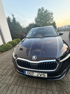 Škoda (11 foto / 13)