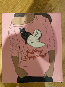 Jeffrey campbell saapad 36,5 suurus (2 foto / 5)