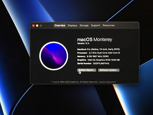 2015 Macbook pro 13inch + Apple magic mouse 2 (9 foto / 9)