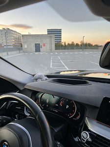 BMW 530D 3.0 195KW 2017 G31 (12 foto / 14)