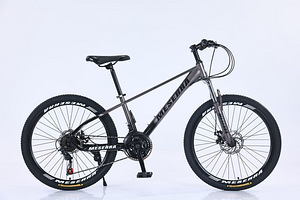 Jalgratas "Meserra"24" 130-150cm.Tasuta transport! (4 foto / 6)