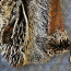 Coat, Natural leather Coat, Goat,L, Breast part 125 cm (foto #2)