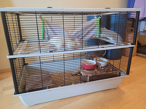3 rotti + 2 puuri + 2 maja + 2 võrkkiike ja palju muud (1 foto / 8)