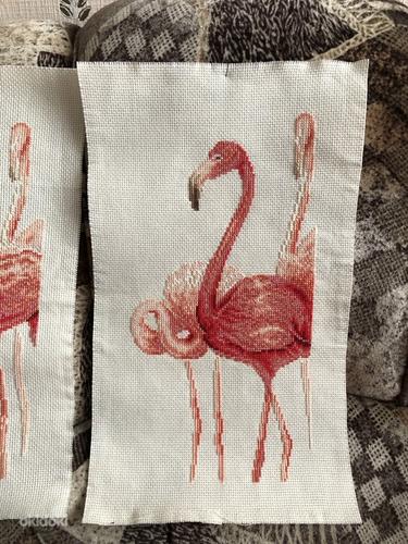 Tikandid "Flamingo" (foto #3)