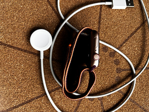 Apple Watch SE (2 фото из 2)