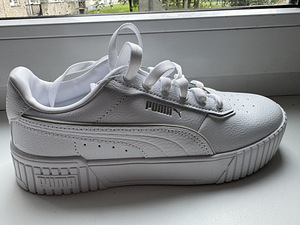 Puma (1 foto / 3)