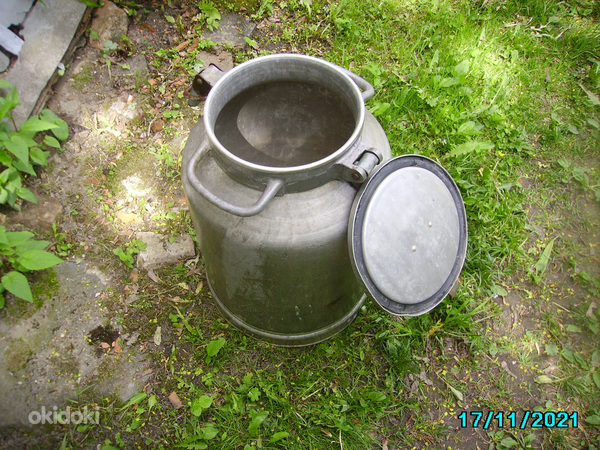 Piimanõu