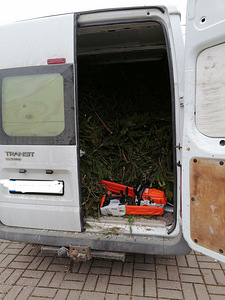 Erineva keerukusega puude saagimine ja eemaldamine (6 foto / 6)