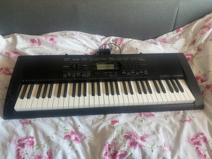 Elektriline pianiino (2 foto / 2)