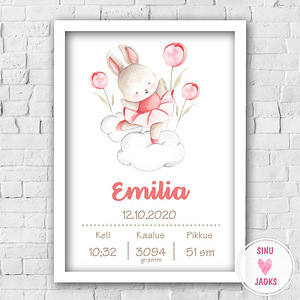 Poster 21*30 suuruses sünniandmetega valge raamiga (9 foto / 10)