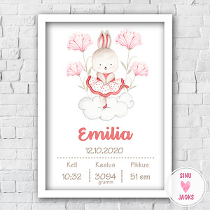 Poster 21*30 suuruses sünniandmetega valge raamiga (10 foto / 10)