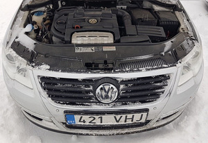 Passat (8 foto / 10)