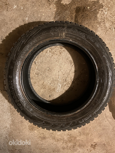 Nokian Nordman 5 talverehvid 205/55/R16 94T XL