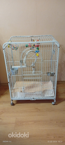 Клетка