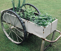 Ящик для цветов/растений на колесах