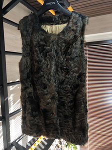 Karusnahast vest (2 foto / 3)