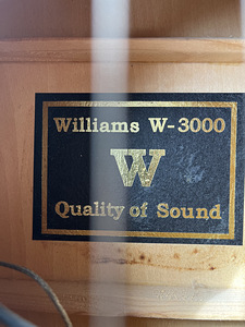 Kitarr Williams W-3000 (3 foto / 7)