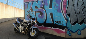 Suzuki GSF 600 (3 фото из 10)