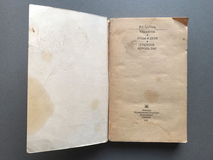 I.S. Turgenev (4 raamatut / vene keeles) (6 foto / 10)