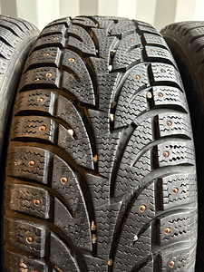 Sailun IceBlazer + Bosco Nordico 225/65 R17 (3 foto / 9)