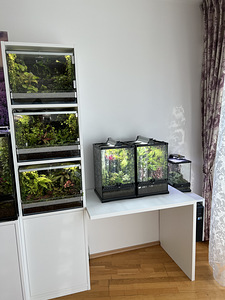 Продам 3 террариума с компьютерным столом и тумбочкой (1 фото из 3)