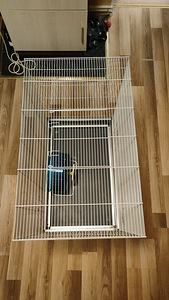 Näriliste puur (Jenny 80x50x79.5cm), hall (3 foto / 5)