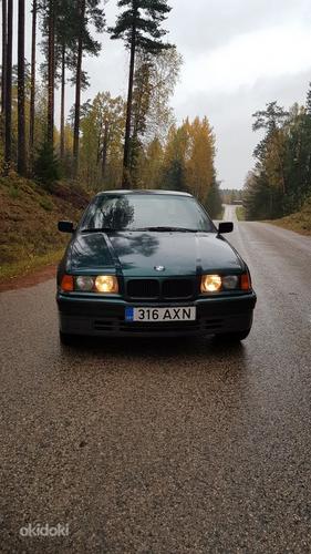 BMW 316i (foto #4)