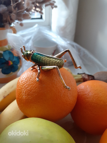 LOCUST KÄSITÖÖ SARANCA