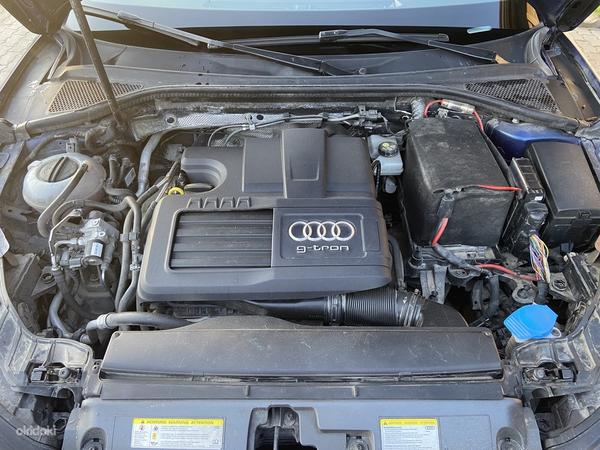 Для продажи Audi A3 G-tron 1.4 81kW CNG + Бенс (фото #3)
