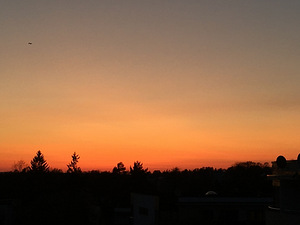 Padriku tee, Pirita, Tallinn, Harjumaa (13 фото из 14)