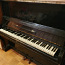 Klaver, järeletulemine (foto #1)