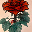 Роза из бисера (фото #2)