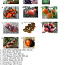 Erinevate sortide tomatite seemned (foto #2)